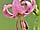 Lilium martagon lilie zlatohlavá